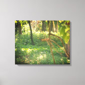 Afdruk van Whitetail hertencanvas Canvas Afdruk (Voorkant)