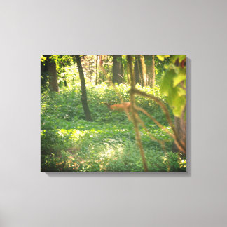 Afdruk van Whitetail hertencanvas Canvas Afdruk