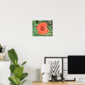 Afdruk Wilde Klaproos Bloem Poster (Thuiskantoor)