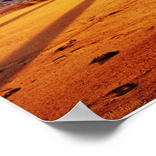 Afdruk zeebraelk pier 06 poster (Hoek)