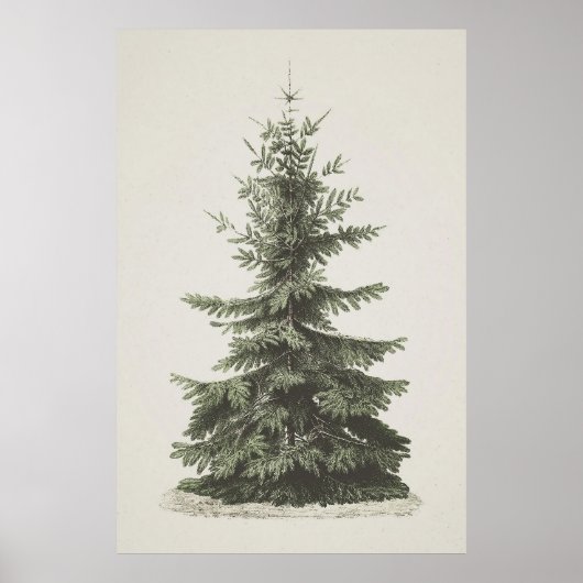 Afdrukbare kerstboom Poster (Voorkant)
