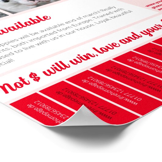 Afdrukbare puppies afscheuren te koop flyer sjablo poster (Hoek)