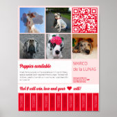 Afdrukbare puppies afscheuren te koop flyer sjablo poster (Voorkant)