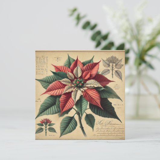 Afdrukbare Retro Poinsettia Botanische plakboek Kaart (Staand voorkant)