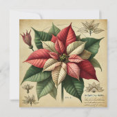 Afdrukbare Retro Poinsettia Botanische plakboek Kaart (Achterkant)