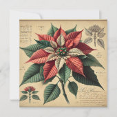 Afdrukbare Retro Poinsettia Botanische plakboek Kaart (Voorkant)