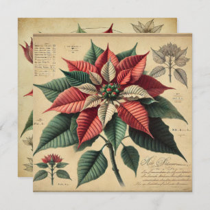 Afdrukbare Retro Poinsettia Botanische plakboek Kaart