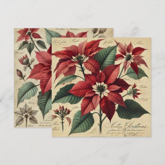 Afdrukbare Vintage Kerstmis Poinsettia Botanical Kaart (Voorkant / Achterkant)