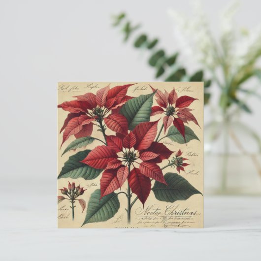 Afdrukbare Vintage Kerstmis Poinsettia Botanical Kaart (Staand voorkant)