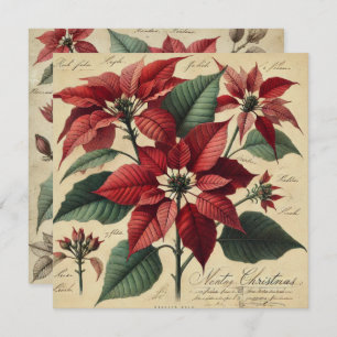Afdrukbare Vintage Kerstmis Poinsettia Botanical Kaart