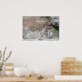 Afdrukfoto Poster (Keuken)