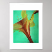 afdrukiris blue2 poster (Voorkant)