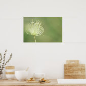 Afdrukken: Apache Plume Poster (Keuken)