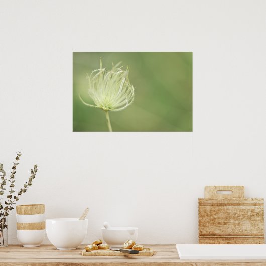 Afdrukken: Apache Plume Poster (Keuken)