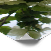 Afdrukken appelboom afvlakken poster (Hoek)