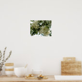 Afdrukken appelboom afvlakken poster (Keuken)