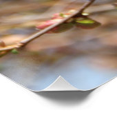 Afdrukken Apple Tree Canvas bloeien (Hoek)