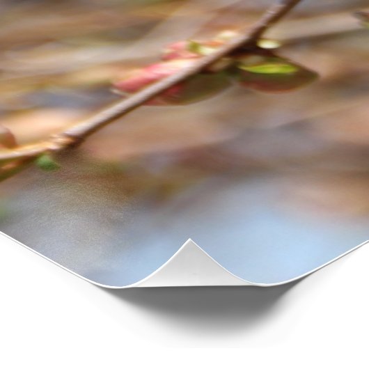 Afdrukken Apple Tree Canvas bloeien (Hoek)