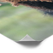 Afdrukken: Bison-portret Poster (Hoek)