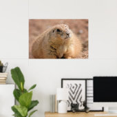 Afdrukken: Black-tailed Prairie Dog Poster (Thuiskantoor)