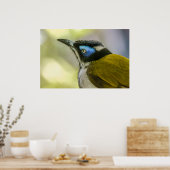 Afdrukken: Blauw honingraat #1 Poster (Keuken)