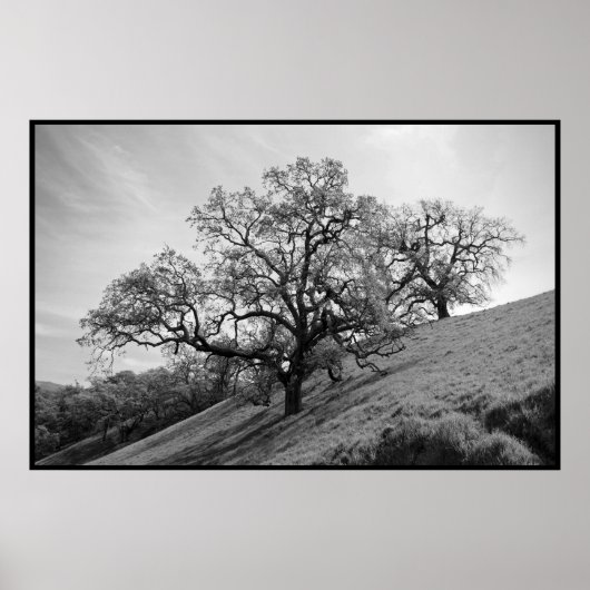 Afdrukken boompapier poster (Voorkant)