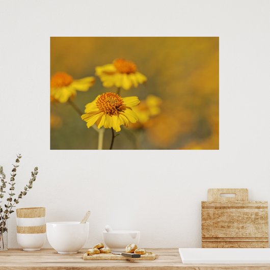 Afdrukken: Brittlebush Flowers Poster (Keuken)