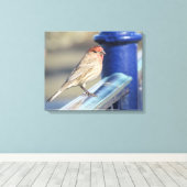 Afdrukken Canvas - Sparrow on Blue Fence (Insitu (Houten vloer))