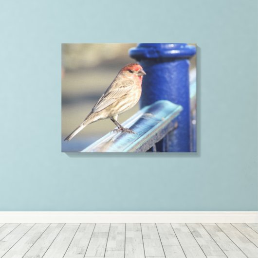 Afdrukken Canvas - Sparrow on Blue Fence (Insitu (Houten vloer))