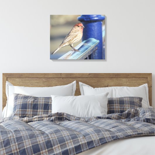Afdrukken Canvas - Sparrow on Blue Fence (Insitu (Slaapkamer))