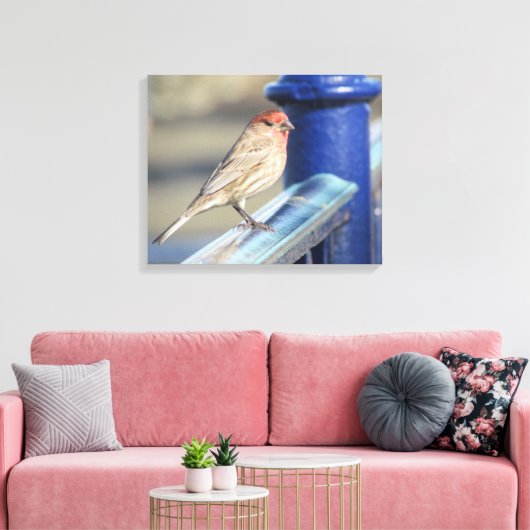 Afdrukken Canvas - Sparrow on Blue Fence (Insitu (Woonkamer))