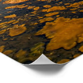 Afdrukken - Castle Geyser, Yellowstone National Pa Poster (Hoek)