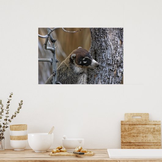 Afdrukken: Coatimundi #2 Poster (Keuken)