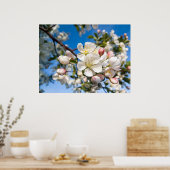 Afdrukken - Crab Apple-bloesems Poster (Keuken)