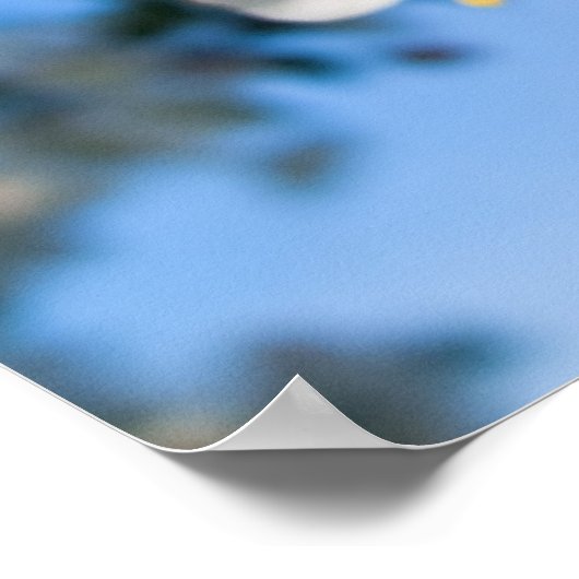 Afdrukken - Crab Apple-bloesems Poster (Hoek)