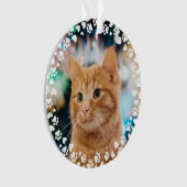 Afdrukken en foto's van aangepaste Lijsten verven Ornament (voorkant)