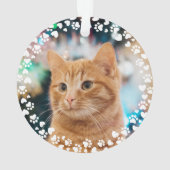 Afdrukken en foto's van aangepaste Lijsten verven Ornament (achterkant)