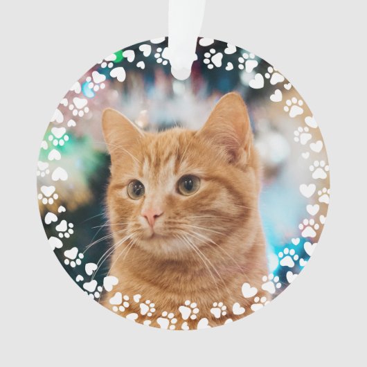 Afdrukken en foto's van aangepaste Lijsten verven Ornament (voorkant)