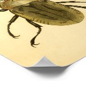 Afdrukken "Entomologie IV" Poster (Hoek)