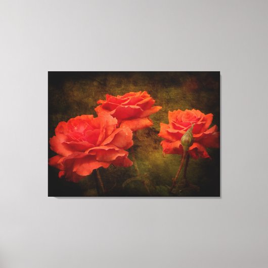 Afdrukken gekleurd Roos met getextureerd perzik (Voorkant)