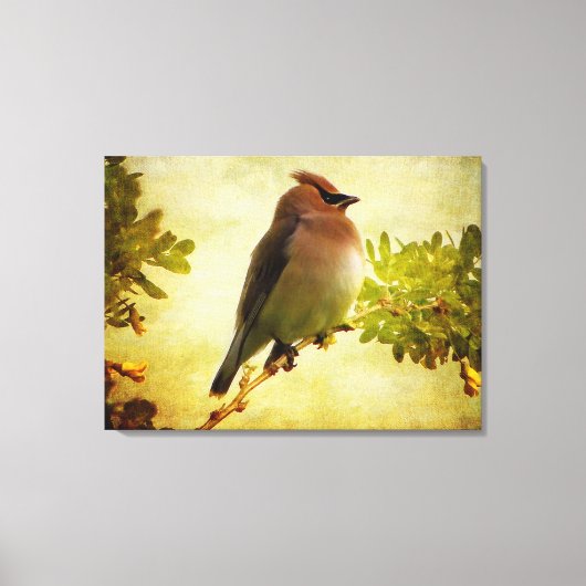 Afdrukken getextureerd cedar Waxing Stretch Canvas (Voorkant)