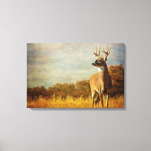 Afdrukken getextureerd Whitetail Stretched Canvas (Voorkant)