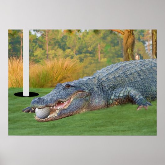 Afdrukken gevaarlijke Lie Golfing Alligator Poster (Voorkant)