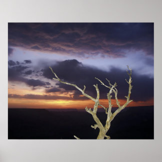 Afdrukken - Grand Canyon Sunset Poster