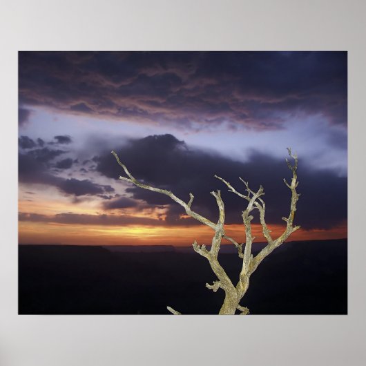Afdrukken - Grand Canyon Sunset Poster (Voorkant)