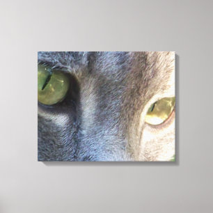 Afdrukken grijs kattengezicht