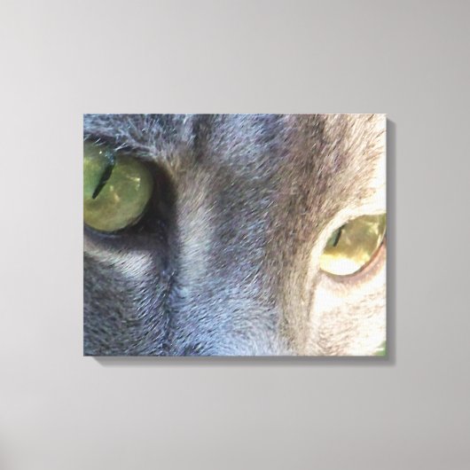 Afdrukken grijs kattengezicht (Voorkant)
