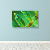 Afdrukken groen blad Canvas (Insitu (Houten vloer))