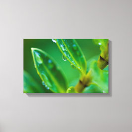 Afdrukken groen blad Canvas