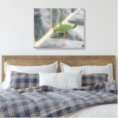 Afdrukken groen cricket Macro Canvas (Insitu (Slaapkamer))